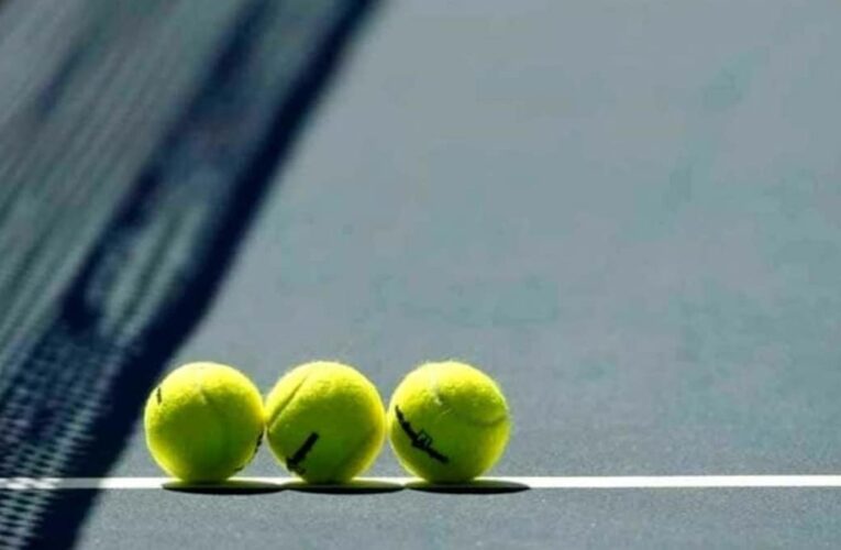 Indian Davis Cup Team Will Have To Travel To Pakistan As AITA Loses Appeal In ITF Tribunal