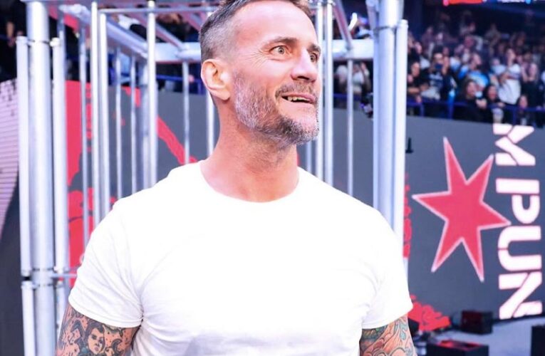 Crowd Goes Wild As CM Punk Makes Shocking Return To WWE After A Decade Away. Watch