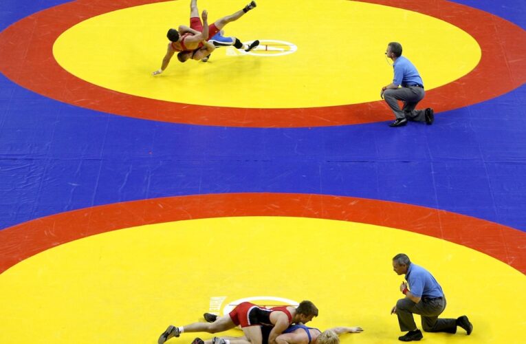 World Body Ready To Lift Suspension Of WFI After Alections: Nenad Lalovic