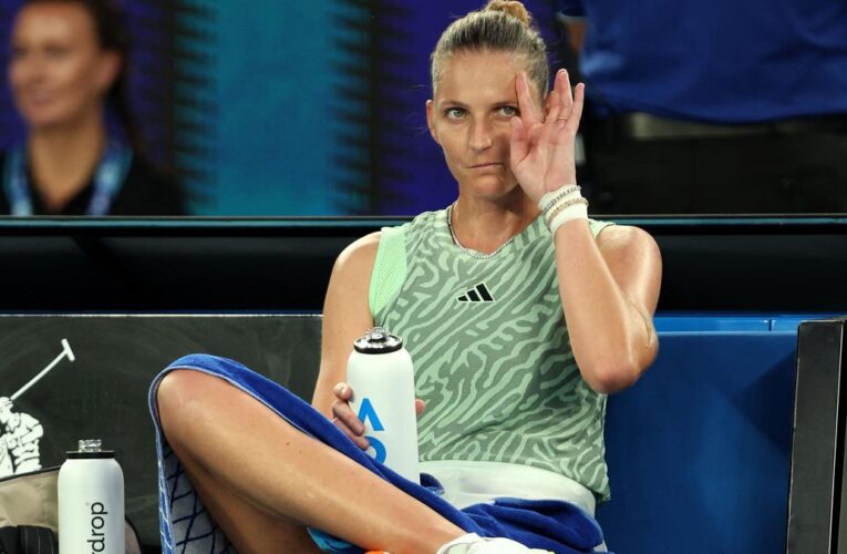 Pliskova tastes victory again with Transylvania title