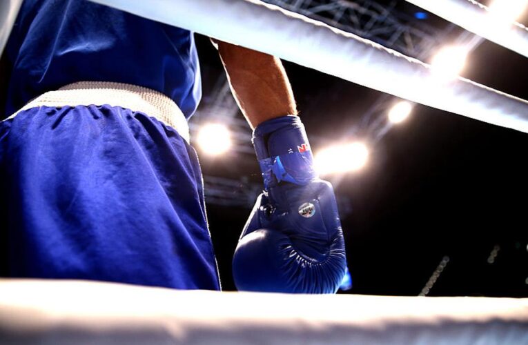 New boxing world body announces first six official members