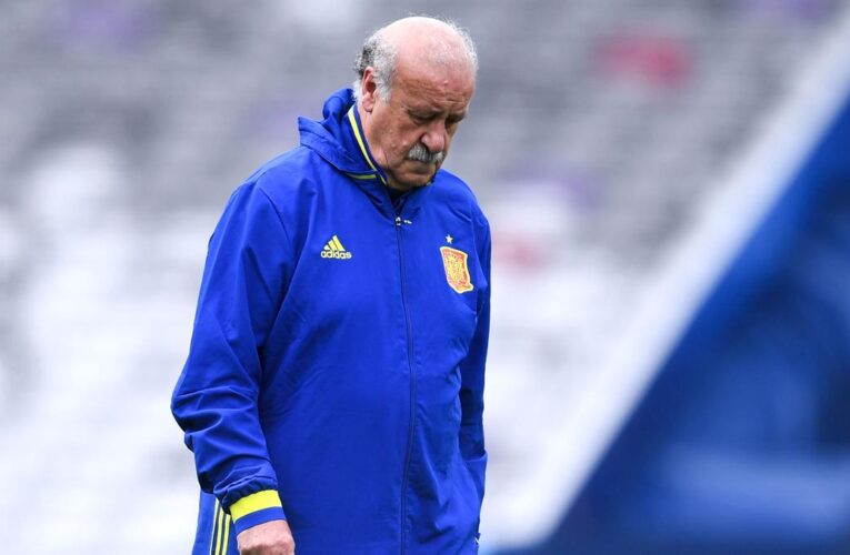 Spain appoints ex-national coach Vicente del Bosque to supervise RFEF