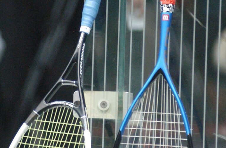 Indian sports wrap, April 12: Akanksha Salunkhe goes down to Jana Safy in RC Pro Series squash quarters