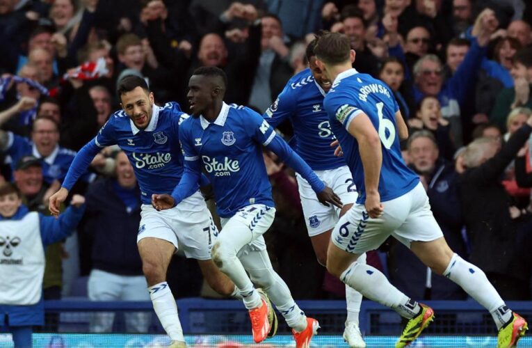Premier League: Everton confirms survival from relegation with 1-0 win over Brentford