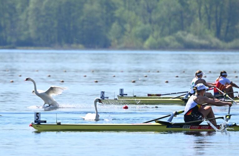 US Rowing probe: Abuse allegations against former Olympic rower, coach found to be credible