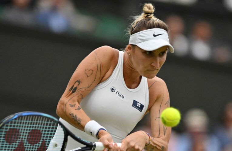 Wimbledon champion Vondrousova limps out of Berlin warm-up, retires due to injury