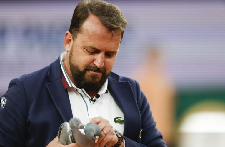 French Open 2024: A pigeon is rescued by chair umpire during a match