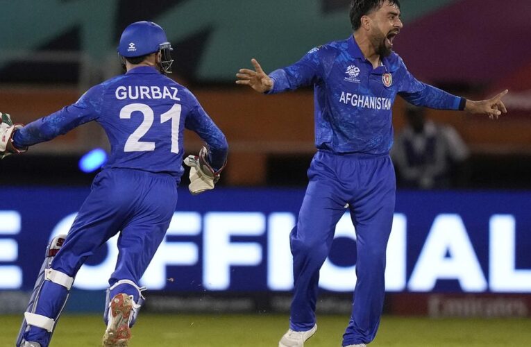 AFG vs PNG Live Score, T20 World Cup 2024: Afghanistan looks to seal Super Six spot with win vs Papua New Guinea