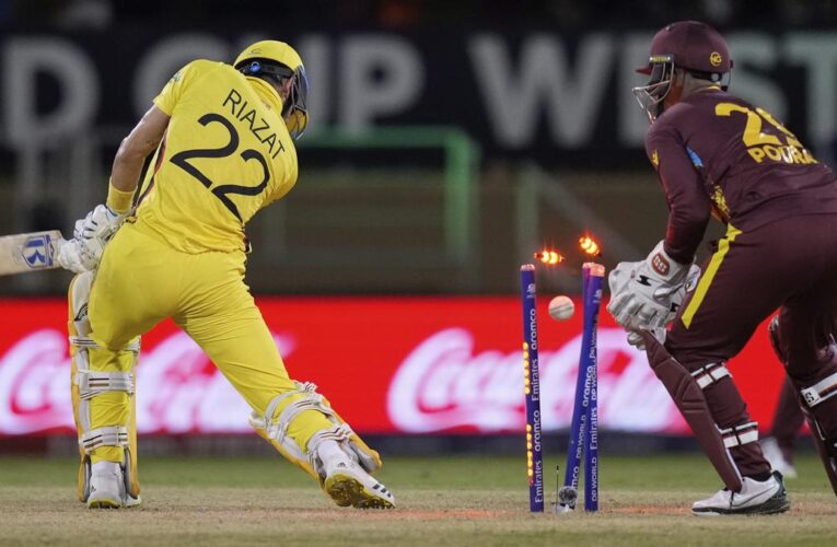 T20 World Cup 2024: West Indies registers second-largest margin of victory vs Uganda; List of biggest win margins in T20 WC history