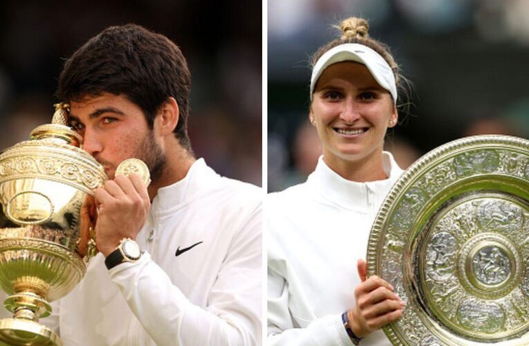 Wimbledon 2024: Storylines, draws, prize money, streaming info