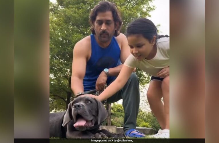 MS Dhoni’s Daughter Ziva Shares Adorable Video Of CSK Icon On Father’s Day. Watch