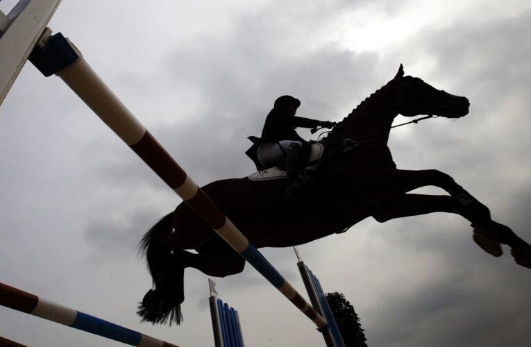Indian sports wrap, December 24: Lakdawala triumphs in Young Rider showjumping at Jr National Equestrian C’ship