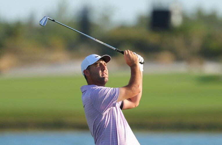 Hero World Challenge: Scheffler takes leads after round 2; overnight leader Young suffers major drop