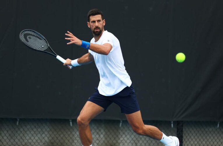 Djokovic says Murray bringing unique perspective as new coach