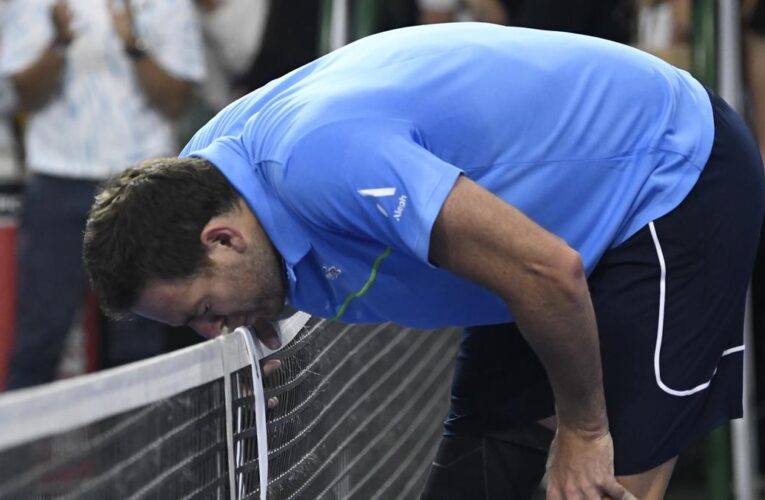 Juan Martin del Potro retires after beating Novak Djokovic in emotional farewell match