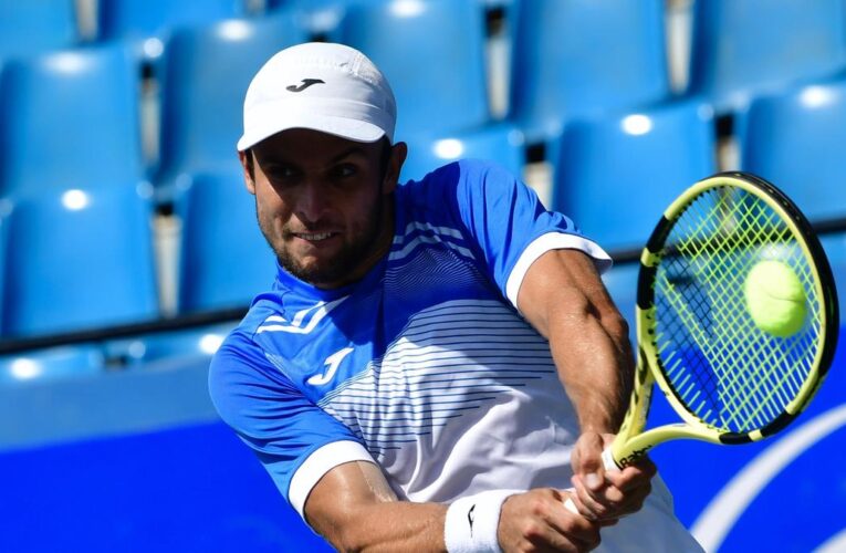 Brisbane International 2024: Vukic advances in Brisbane with win over Goffin