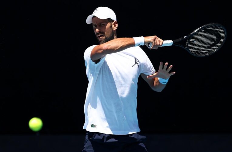 Australian Open 2025: Djokovic makes another push for the summit in Melbourne