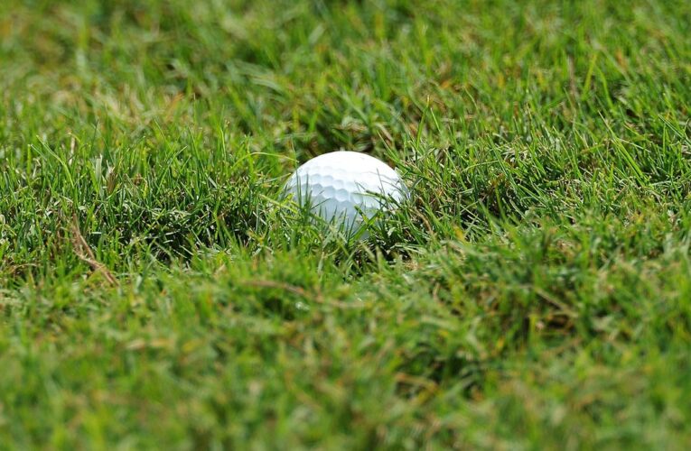 Indian sports wrap, May 14: Zara moves up in Japan golf tournament
