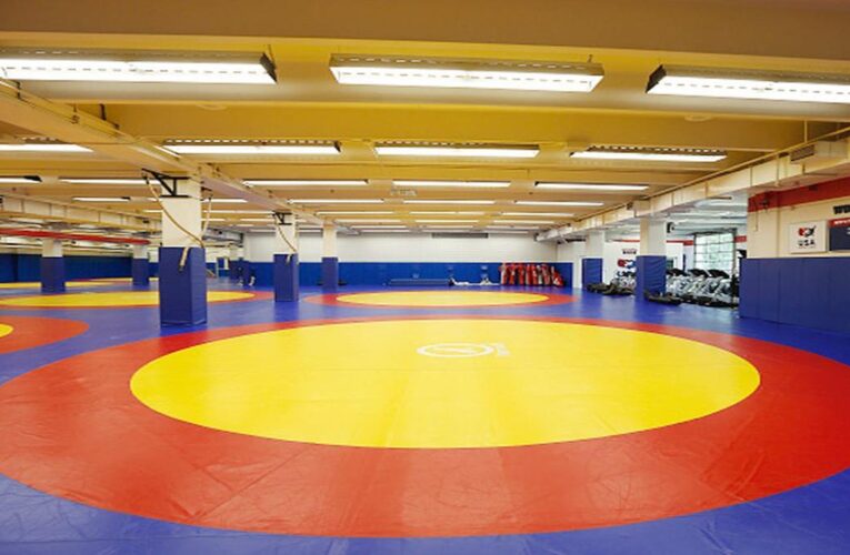Indian sports wrap, July 8: Wrestlers win nine gold medals at Asian U-15 Championships