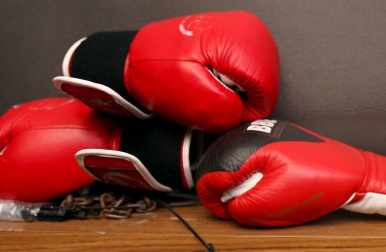 Deaths could spell end for Japanese boxing, says commission chief