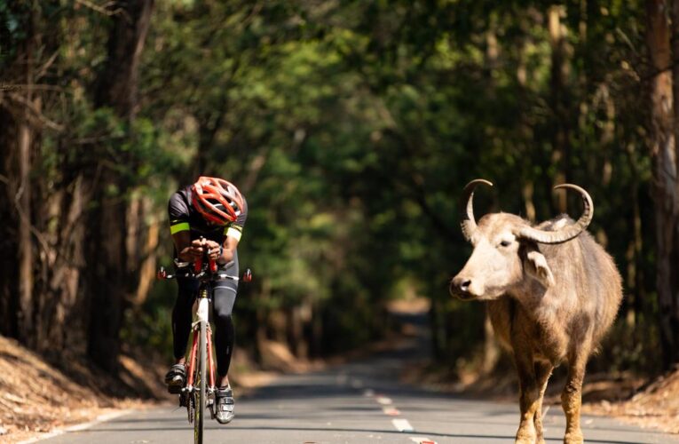 How Ironman and HYROX are redefining fitness culture in India