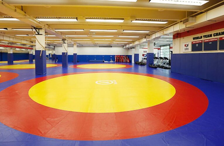 Wrestling Federation of India suspends 11 wrestlers for submitting fake birth certificates