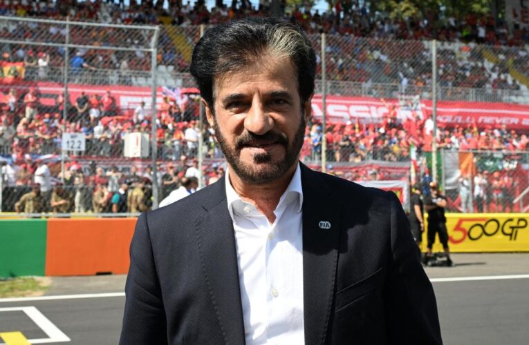 FIA list raises prospect of Ben Sulayem being re-elected unopposed