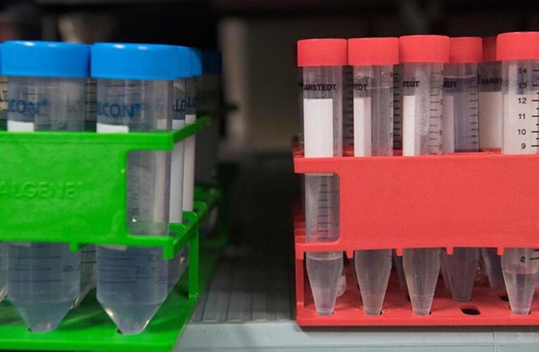 Four Indian athletes receive reduced bans after early admission of doping offences, says NADA