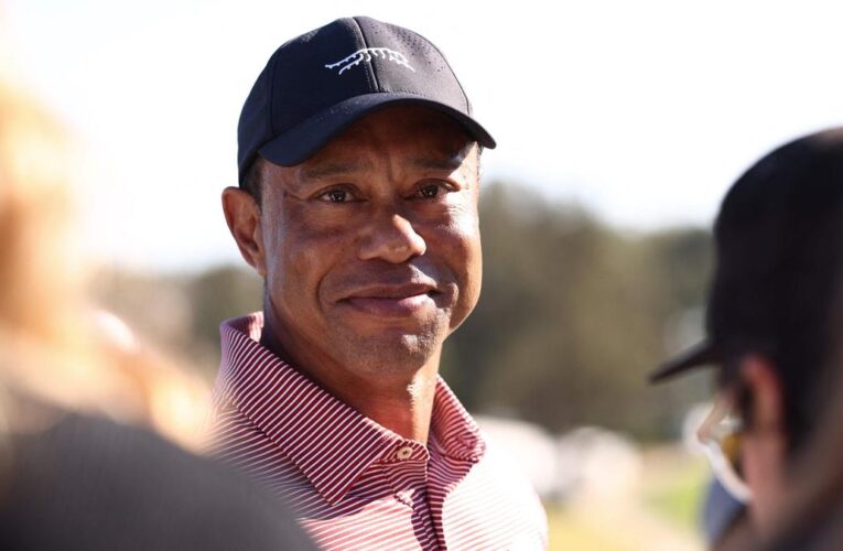 Tiger Woods arrest update — Why was the golf icon released on bail hours after going to jail?